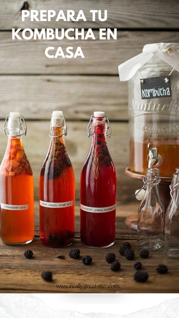 KIT KOMBUCHA