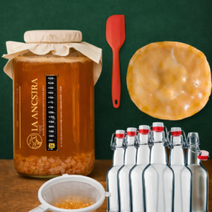 KIT KOMBUCHA