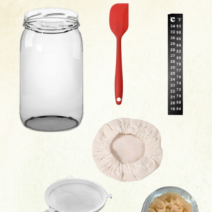 KIT KEFIR DE AGUA