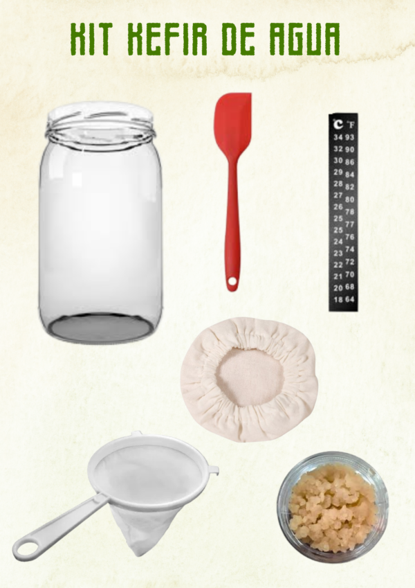 KIT KEFIR DE AGUA