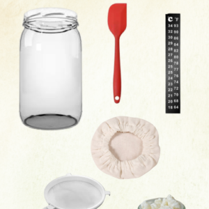 KIT DE KEFIR DE LECHE